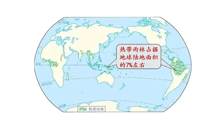 人教版七下 10.3《跨學科主題學習》 探尋熱帶雨林的固碳功能  課件第5頁
