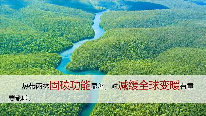 人教版七下 10.3《跨學科主題學習》 探尋熱帶雨林的固碳功能  課件第6頁