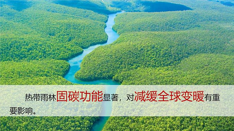 人教版七下 10.3《跨学科主题学习》 探寻热带雨林的固碳功能 课件第6页