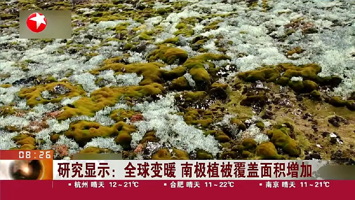 【湘教新版】7下第八章 探究与实践 《保护极地环境》教学课件第3页