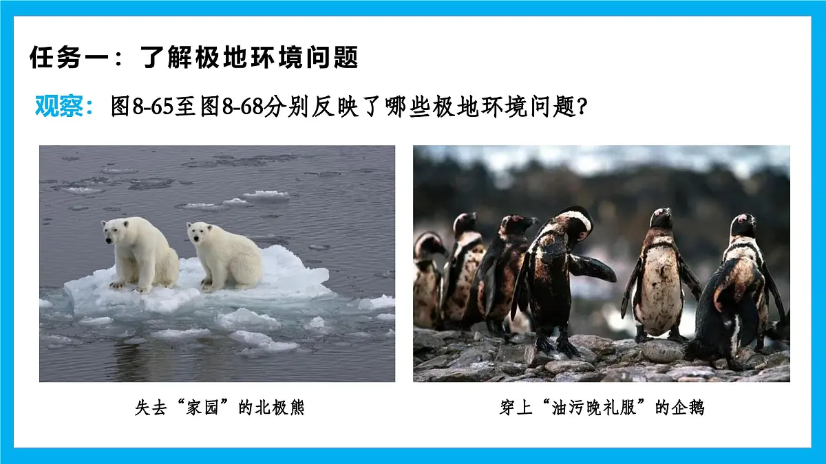 【湘教新版】7下第八章 探究与实践 《保护极地环境》教学课件第4页