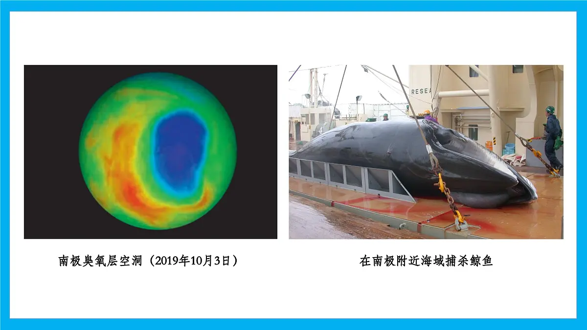 【湘教新版】7下第八章 探究与实践 《保护极地环境》教学课件第5页