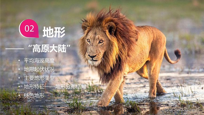 7.2 非洲 - 【新教材】初中地理七年級下冊 同步教學(xué)課件(湘教版2024)第7頁