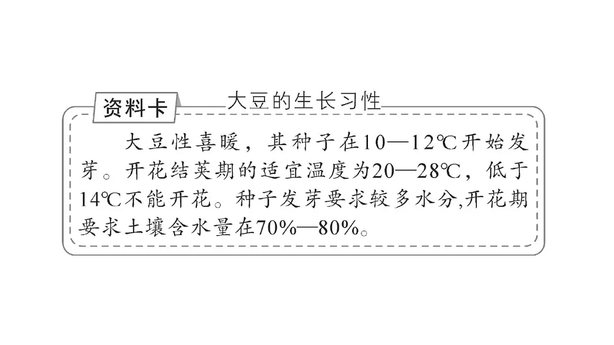 初中地理新人教版七年级下册大单元主题探究一 世界大豆生产现状作业课件2025春第3页