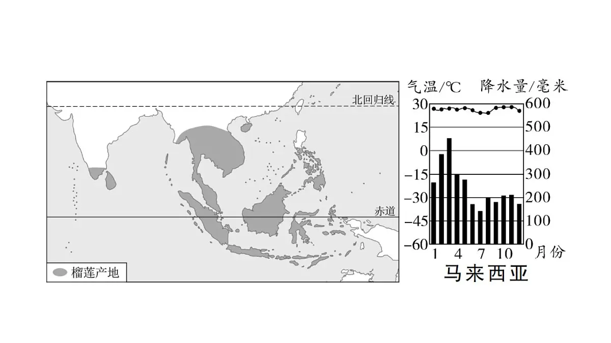 初中地理新湘教版七年级下册期末专项二 认识重要的地区作业课件2025春第3页