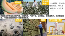 第七章西北地區(qū)第二節(jié)新疆維吾爾自治區(qū)課件 2025學(xué)年商務(wù)星球版地理八年級下冊