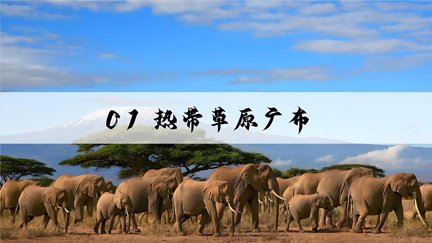9.3.1撒哈拉以南非洲【課件】（第1課時(shí)——熱帶草原廣布）——2025新教材人教版初一地理下冊(cè)第5頁(yè)