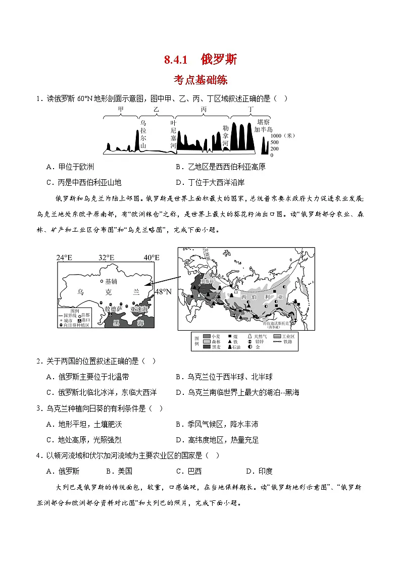 俄罗斯第一课时(分层作业)(原卷版)第1页