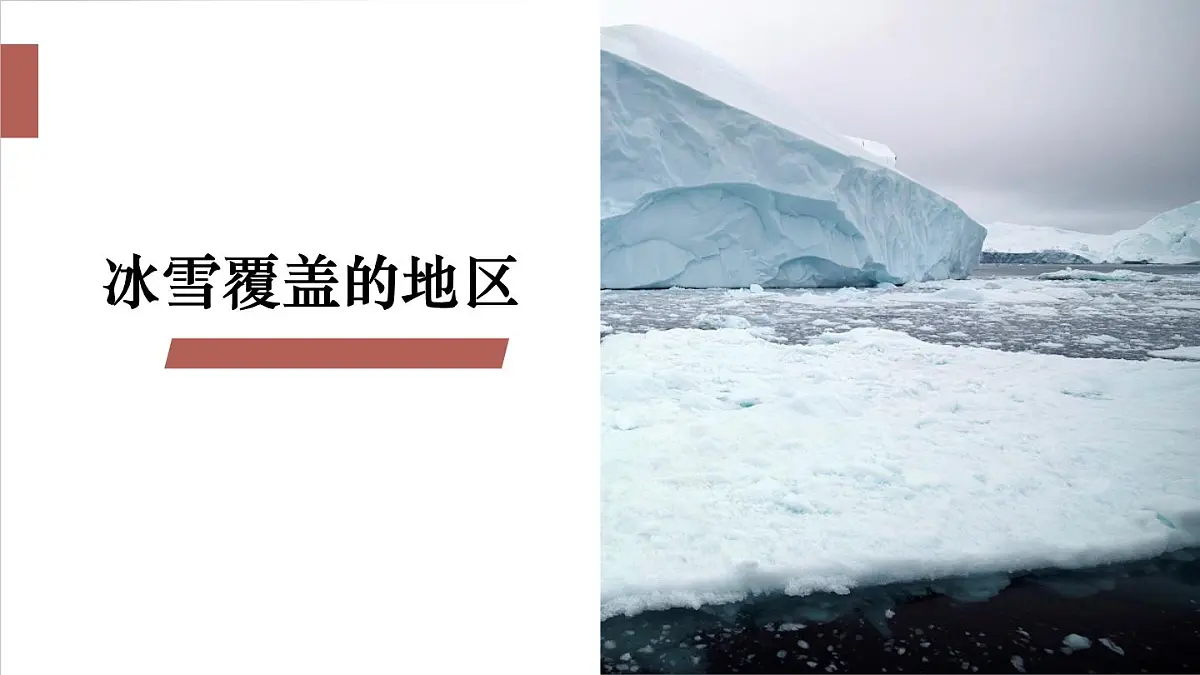 人教版(2024) 七年级地理下册(2024) 第十一章 极地地区 课件第2页
