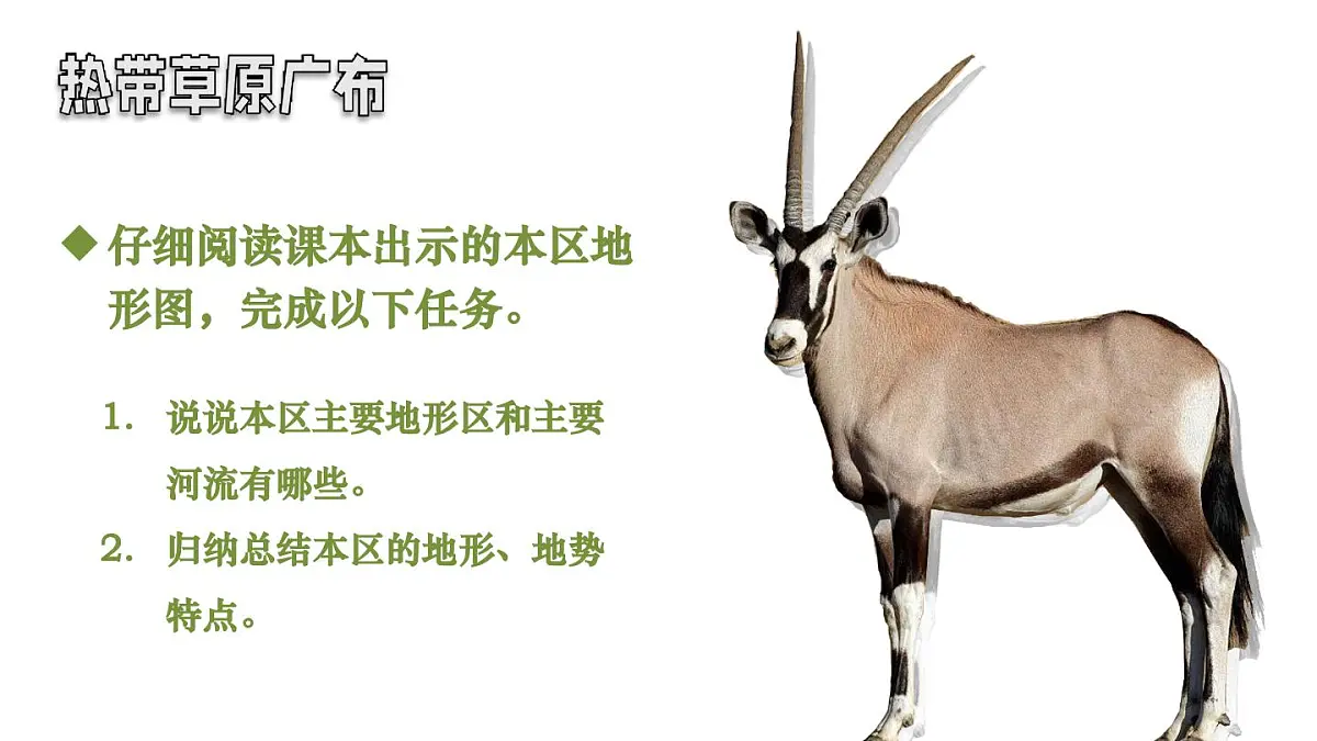 初中地理新人教版七年级下册第九章第三节 撒哈拉以南非洲教学课件2025春第5页