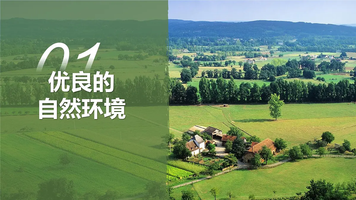 7.3 欧洲西部(第2课时)(优质课件)2025学年七年级地理下册(中图版北京2024)第4页