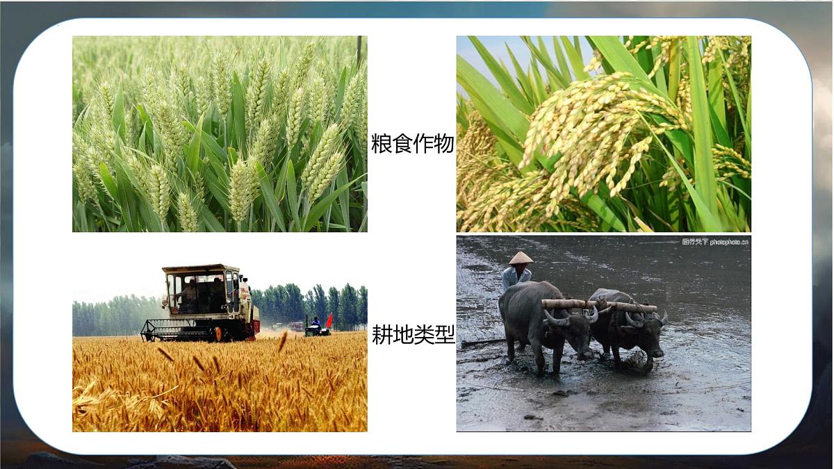 4.5 重要的地理分界线及主要分区课件-2024-2025学年中图版地理七年级上册第8页