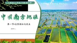第七章 第一節(jié) 南方地區(qū)自然特征與農(nóng)業(yè)課件 2025學(xué)年人教版地理八年級(jí)下冊(cè)