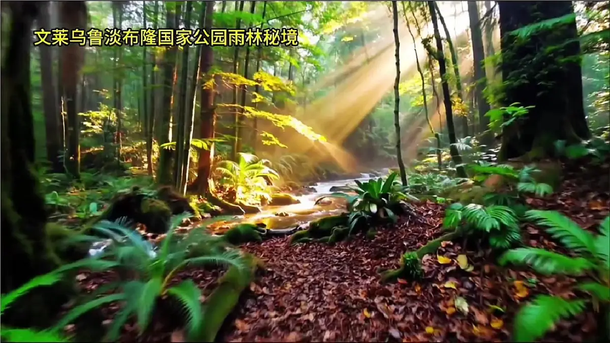 2024—2025学年七年级地理下学期人教版认识东南亚的世界遗产PPT第1页