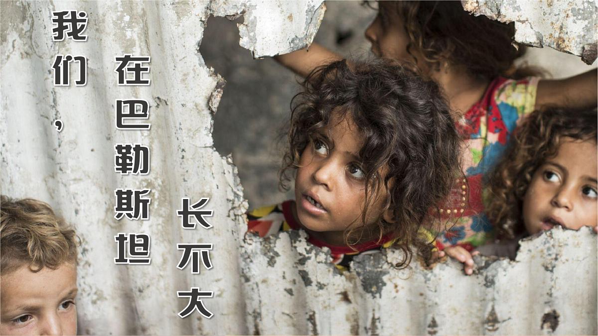 9.1 西亚(课件)第4页