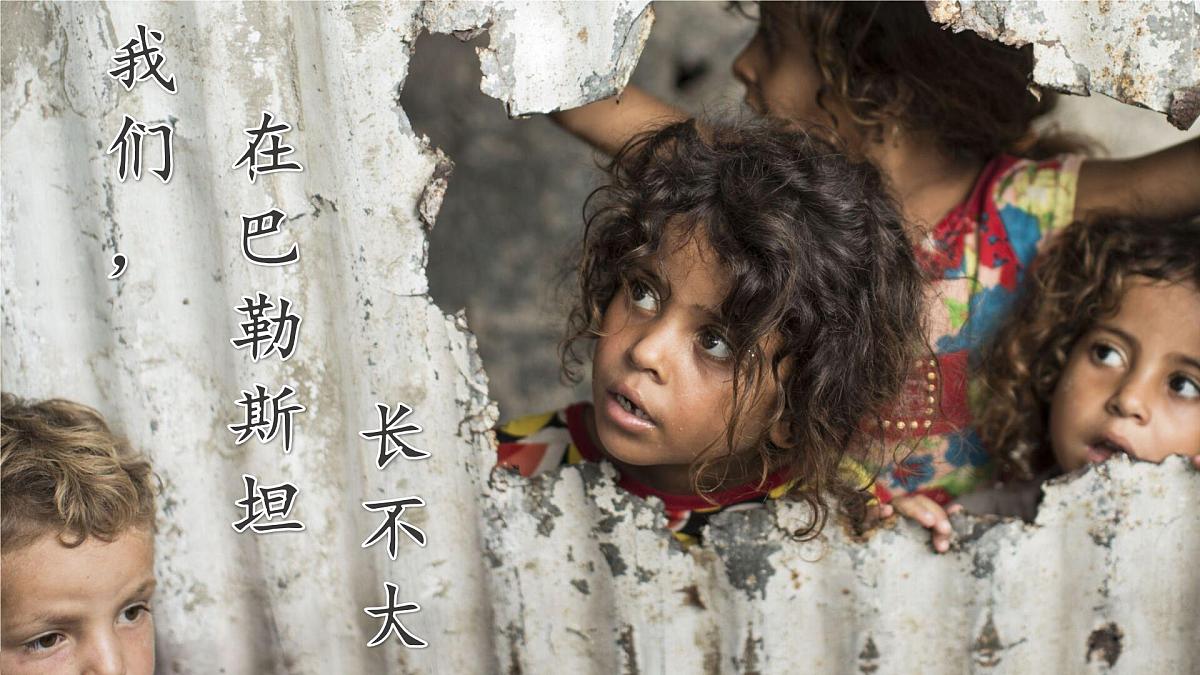 9.1 西亚(课件)第6页