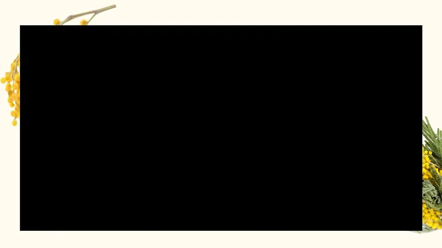 初中 地理 人教版(2024) 七年级下册(2024) 第九章第四节 澳大利亚 课件第3页