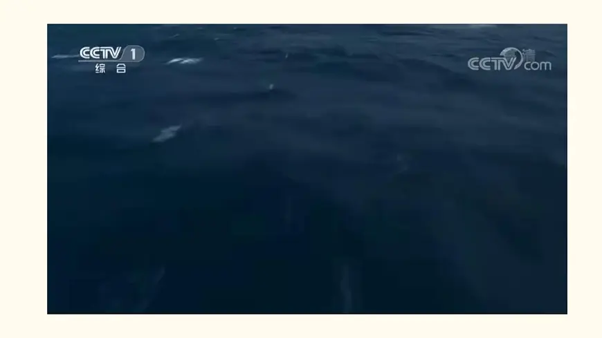 初中 地理 人教版(2024) 七年级下册(2024) 第九章第四节 澳大利亚 课件第7页