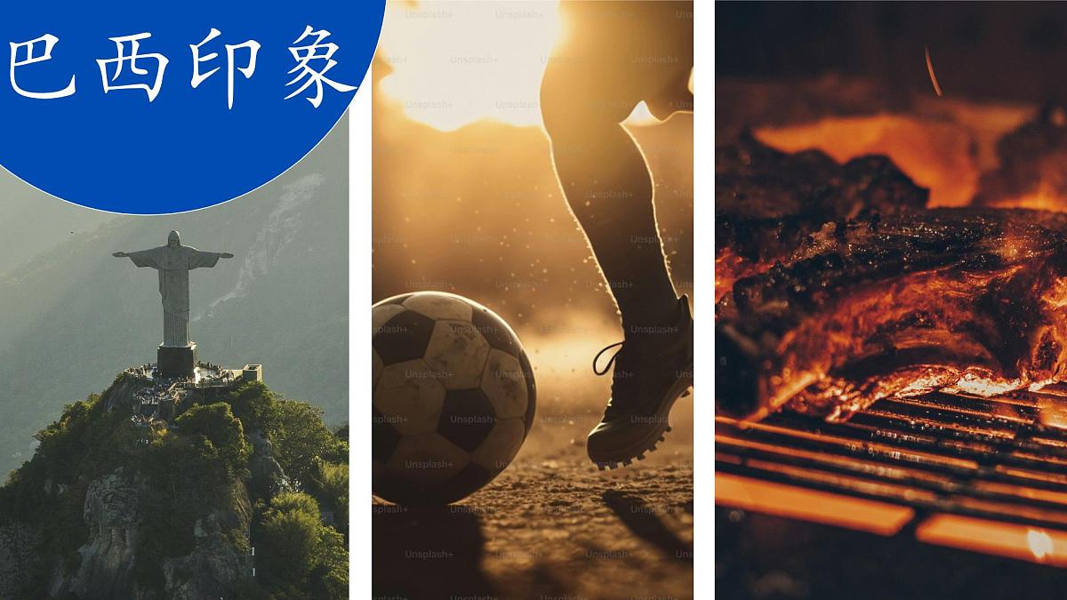 初中 地理 人教版(2024) 七年级下册(2024) 第十章第二节 巴西 课件第2页