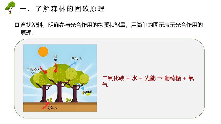 跨學(xué)科主體學(xué)習(xí)——探尋熱帶雨林的固碳功能【課件】——2025新教材人教版初一地理下冊第8頁
