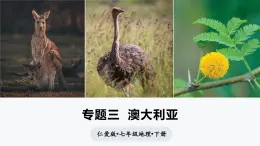 專題三 澳大利亞（課件）-2024-2025學年七年級地理下冊（仁愛科普版2024）