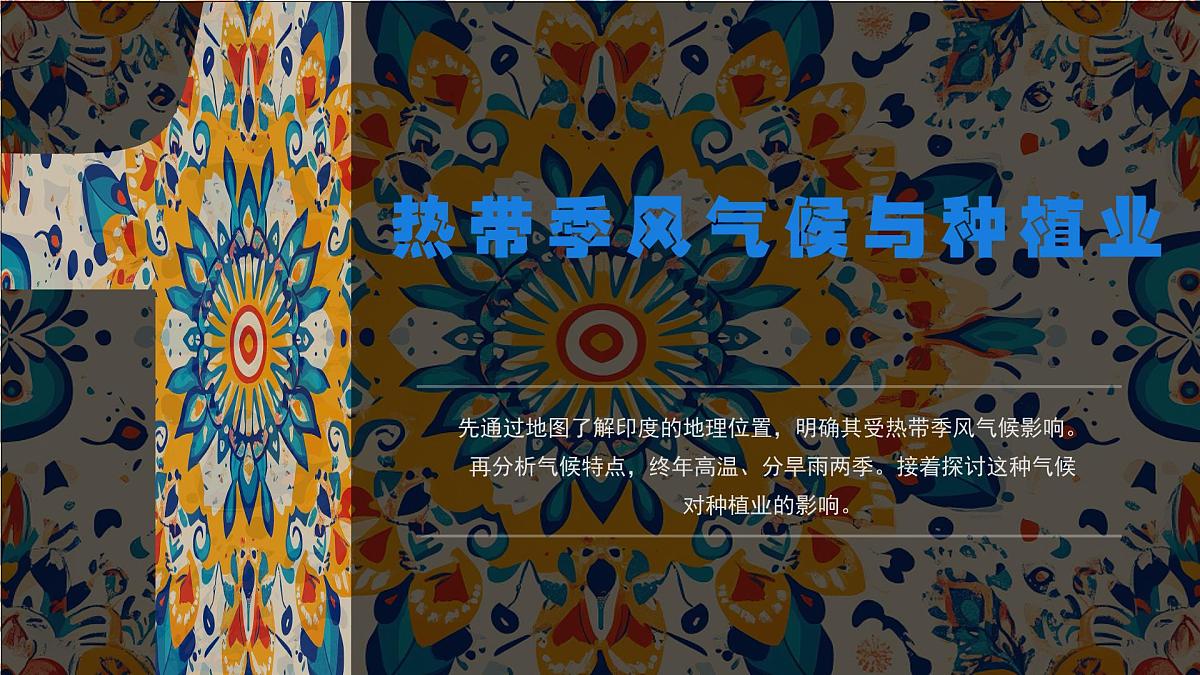 8.2.2 印度(课时2)(课件)-2024-2025学年七年级地理下册(商务星球版2024)第4页