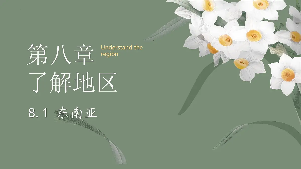 初中地理湘教版(2024)七年级下册8.1 东南亚 课件第3页