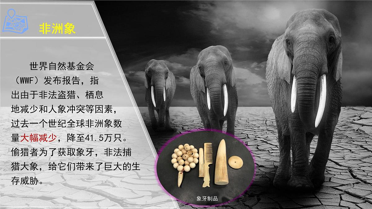 7.4 撒哈拉以南非洲(第二课时)课件 地理商务星球版(2024)七年级下册第七章第4页