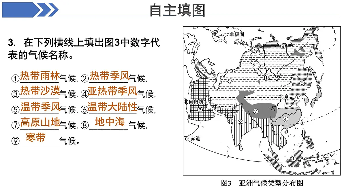 地理商务星球版七年级下册《期中复习》课件 地理商务星球版(2024)七年级下册第7页