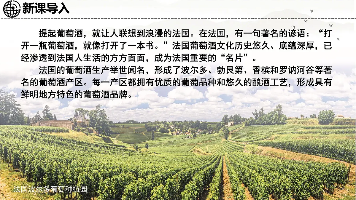 初中地理湘教版(2024)七年级下册9.4 法国 课件第3页
