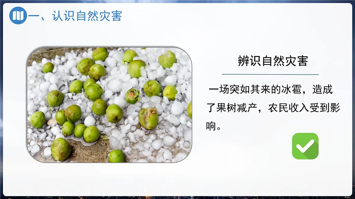 初中地理中图版(2024)七年级下册6.1 自然灾害与防治 课件第5页