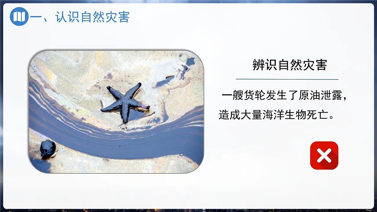 初中地理中图版(2024)七年级下册6.1 自然灾害与防治 课件第6页