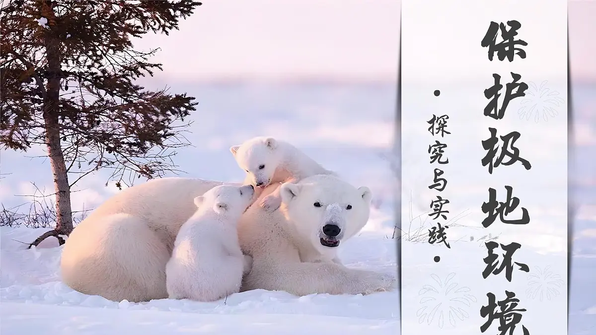 探究与实践——保护极地环境【课件】——2025新教材湘教版初一地理下册第1页