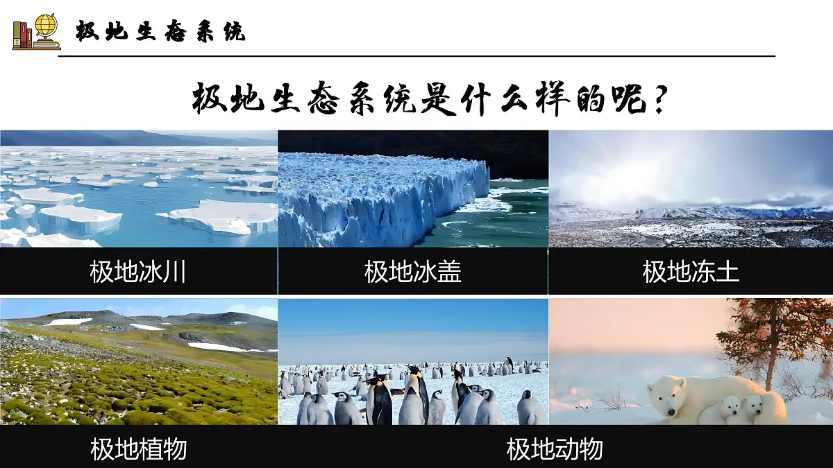 探究与实践——保护极地环境【课件】——2025新教材湘教版初一地理下册第6页