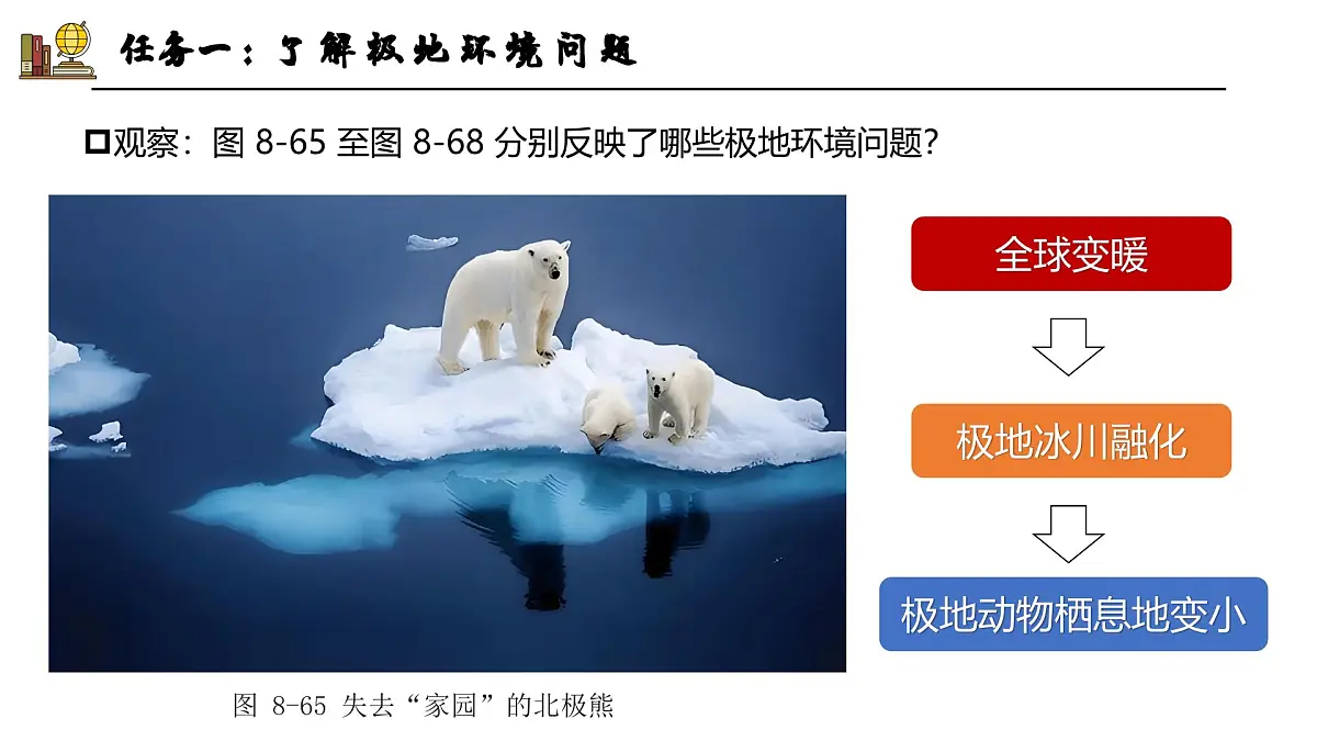 探究与实践——保护极地环境【课件】——2025新教材湘教版初一地理下册第8页