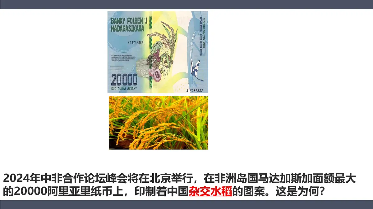 9.3撒哈拉以南非洲第二课时课件-2024-2025学年七年级地理下册人教版(2024第1页