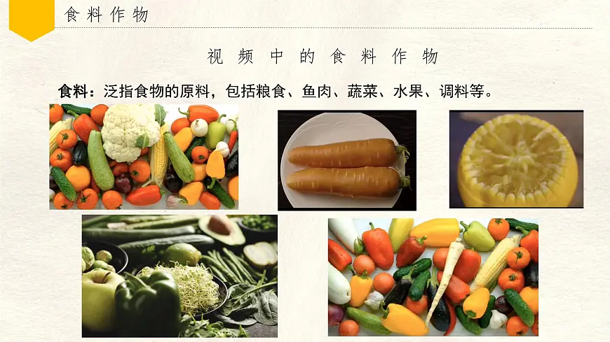 跨学科主题学习——探索外来食料作物传播史 课件 人教版(2024)七年级上册地理第2页