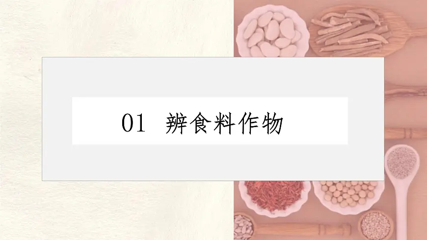 跨学科主题学习——探索外来食料作物传播史 课件 人教版(2024)七年级上册地理第4页