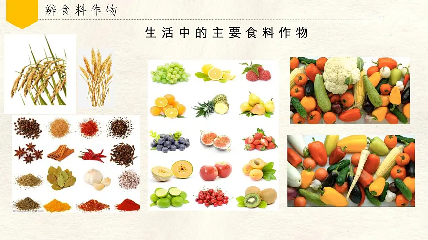 跨学科主题学习——探索外来食料作物传播史 课件 人教版(2024)七年级上册地理第5页