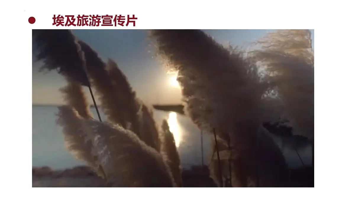 主题活动八(课件) 2025学年七年级地理下册粤人版第8页