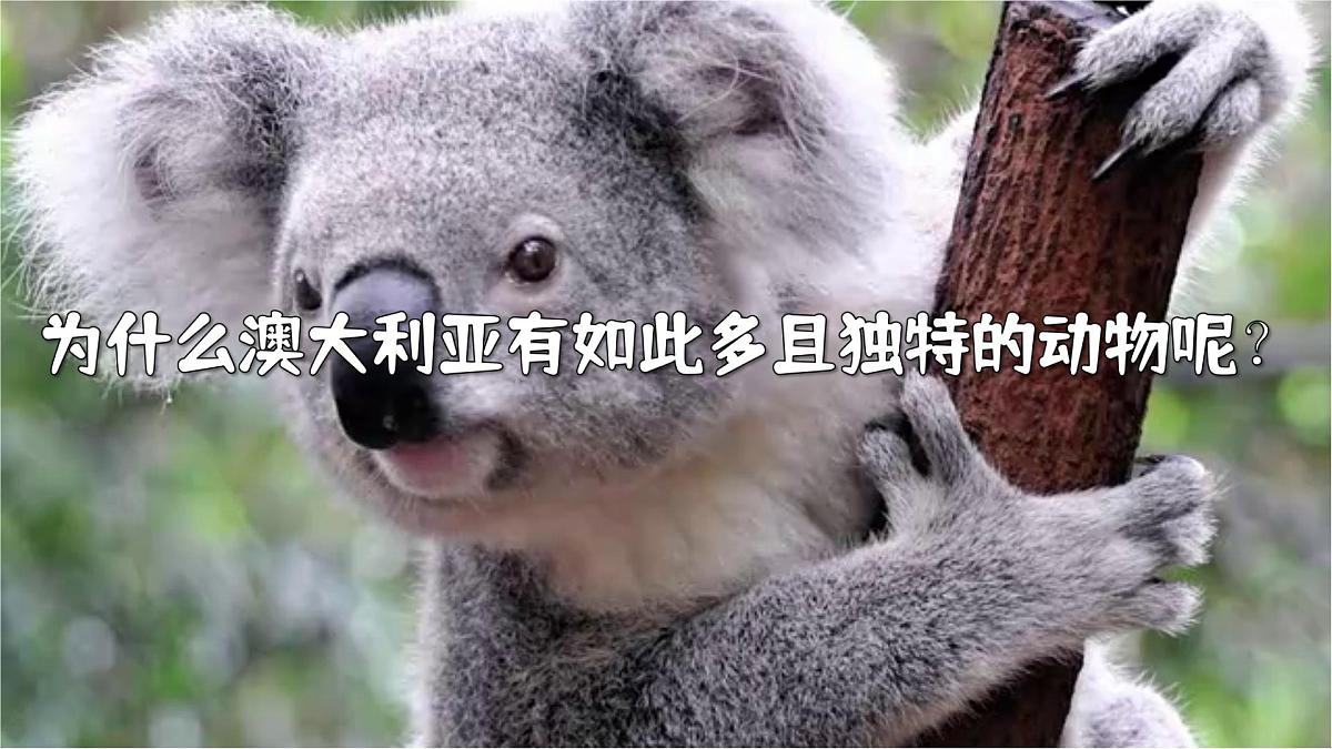 9.4.1 澳大利亚(第1课时 独占澳洲大陆和人口城市分布)(课件)七年级地理下册人教版第3页