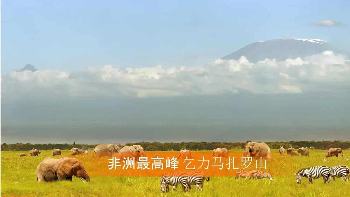 人教版七年级地理下册第九章第三节《撒哈拉以南非洲》第一课时课件第8页