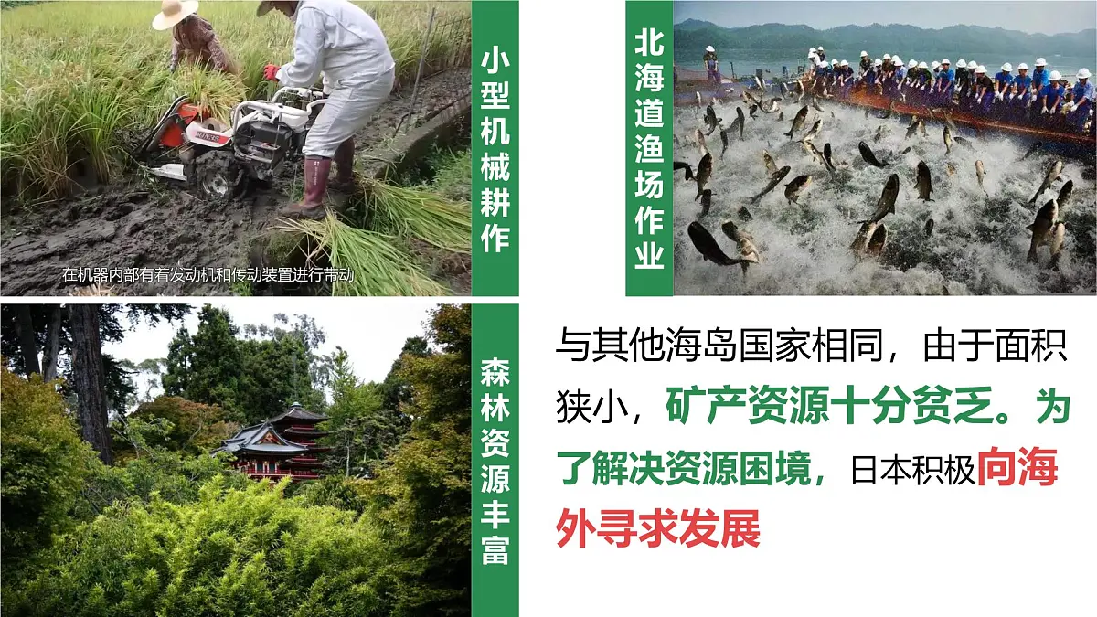 8.1 日本 课件-2024-2025学年七年级地理下学期商务星球版(2024)第8页