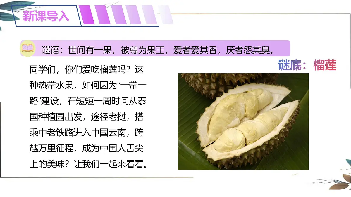 8.2东南亚课件-2024-2025学年地理人教版七年级下册第1页