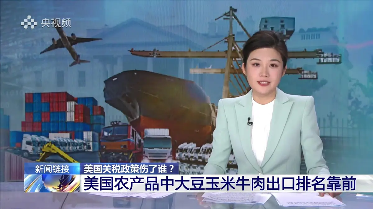 10.1 美国(第2课时)(课件)-【大单元教学】2024-2025学年七年级地理下册同步备课系列(人教版2024)第1页