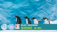 初中人教版（2024）极地地区教课ppt课件