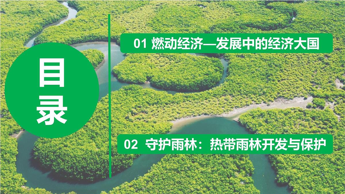 2024—2025学年下学期七年级地理下册10.2 巴西(第2课时)PPT第5页
