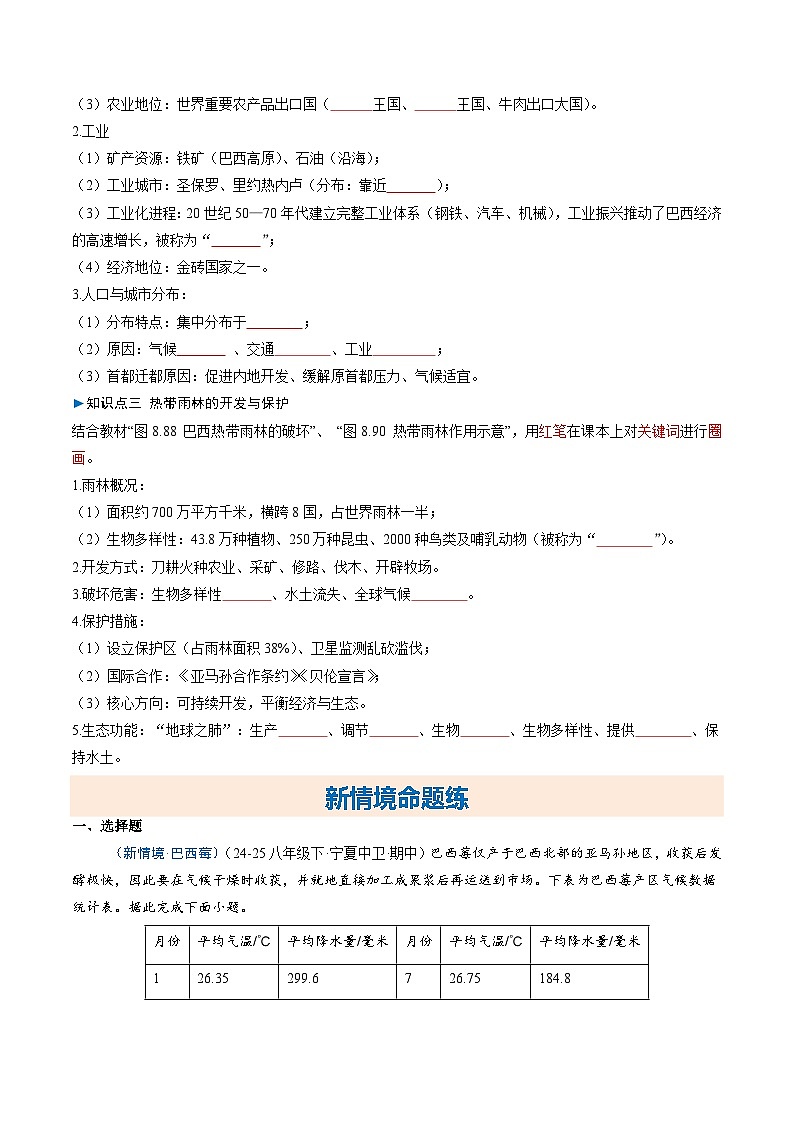 8.6巴西【知识挖空+新情境+重难】(分层练)(原卷版)第2页