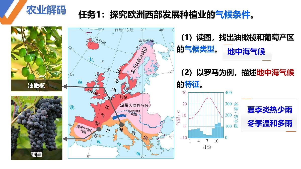 9.2+欧洲西部+第2课时+课件-2024-2025学年人教版(2024)地理+七年级下册第4页