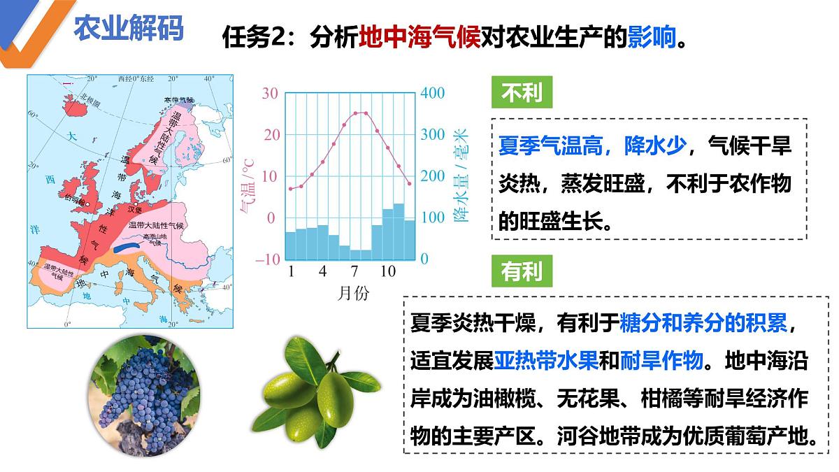 9.2+欧洲西部+第2课时+课件-2024-2025学年人教版(2024)地理+七年级下册第5页